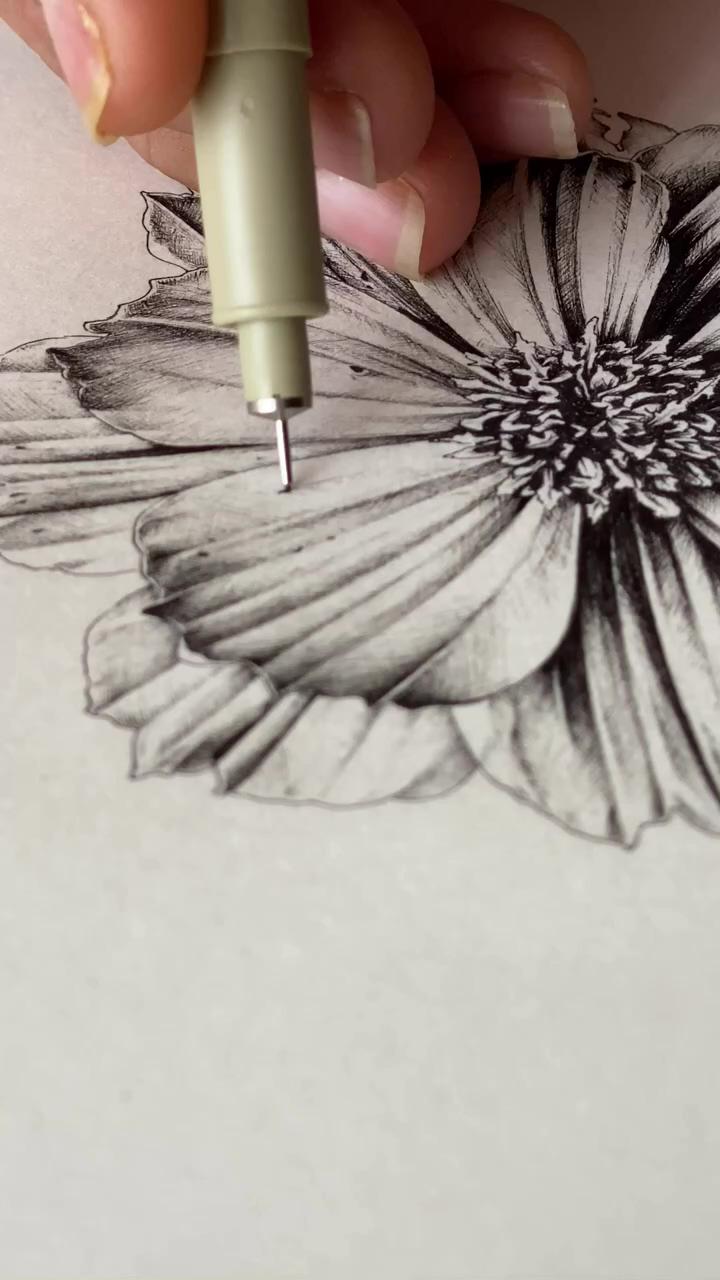A cosmos flower in the making | art for the unartistic