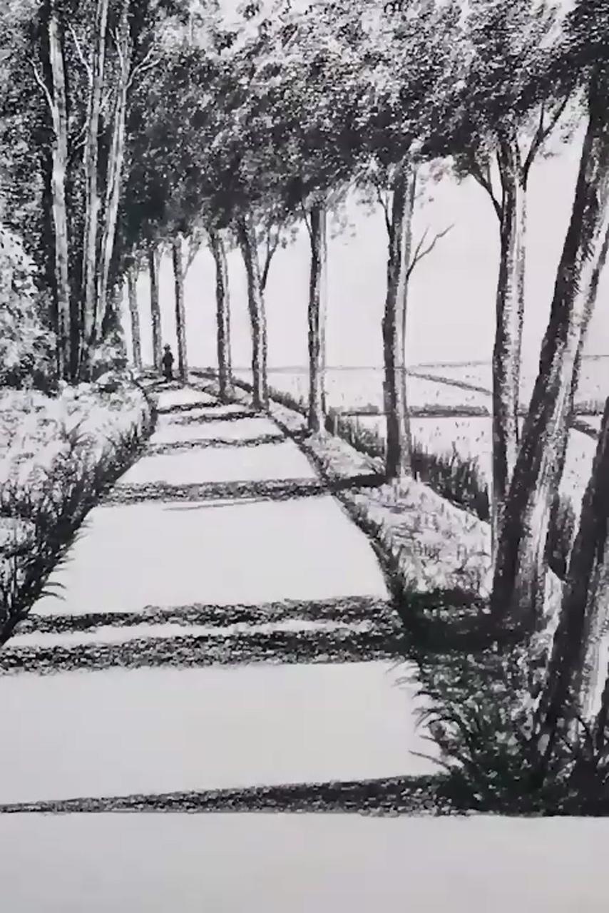 Amazing pencil drawing that you can also try | nature art drawings