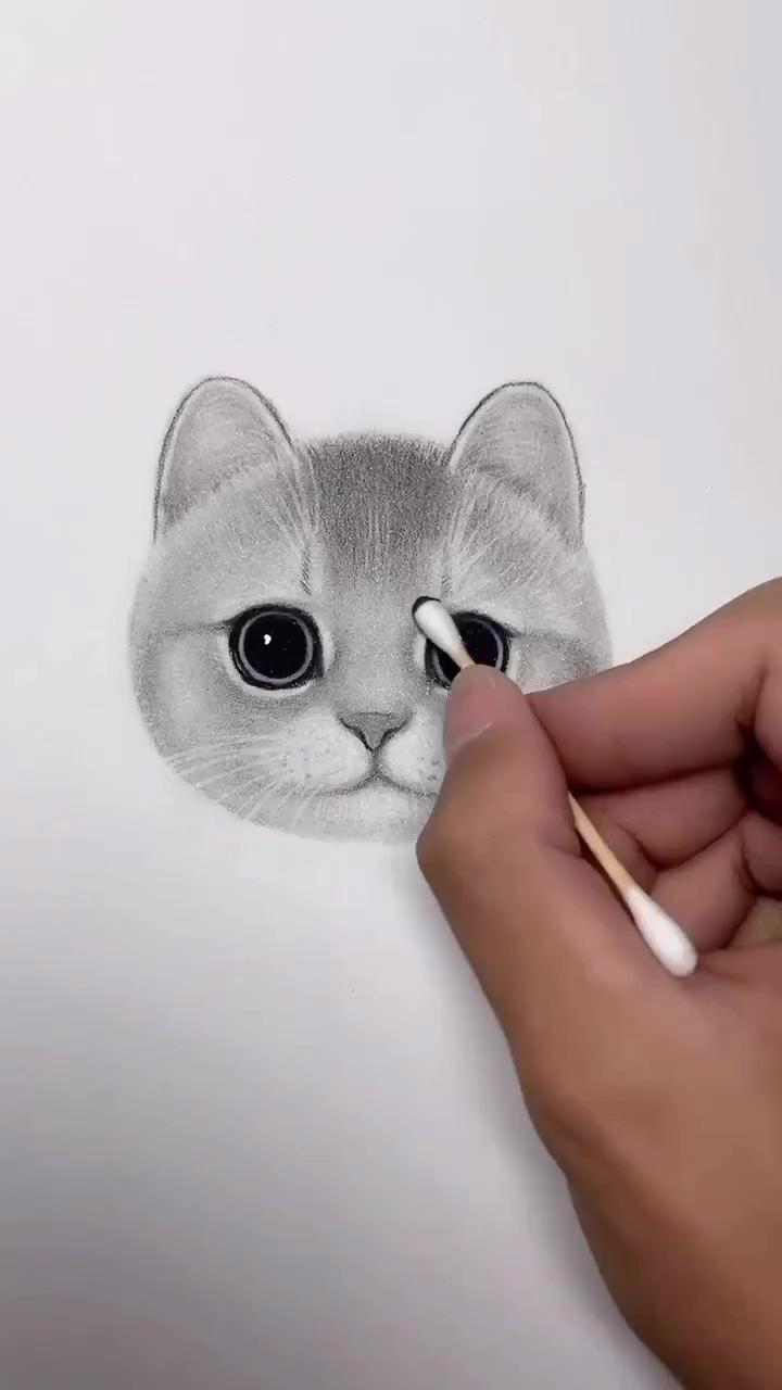 Awesome | simple cat drawing