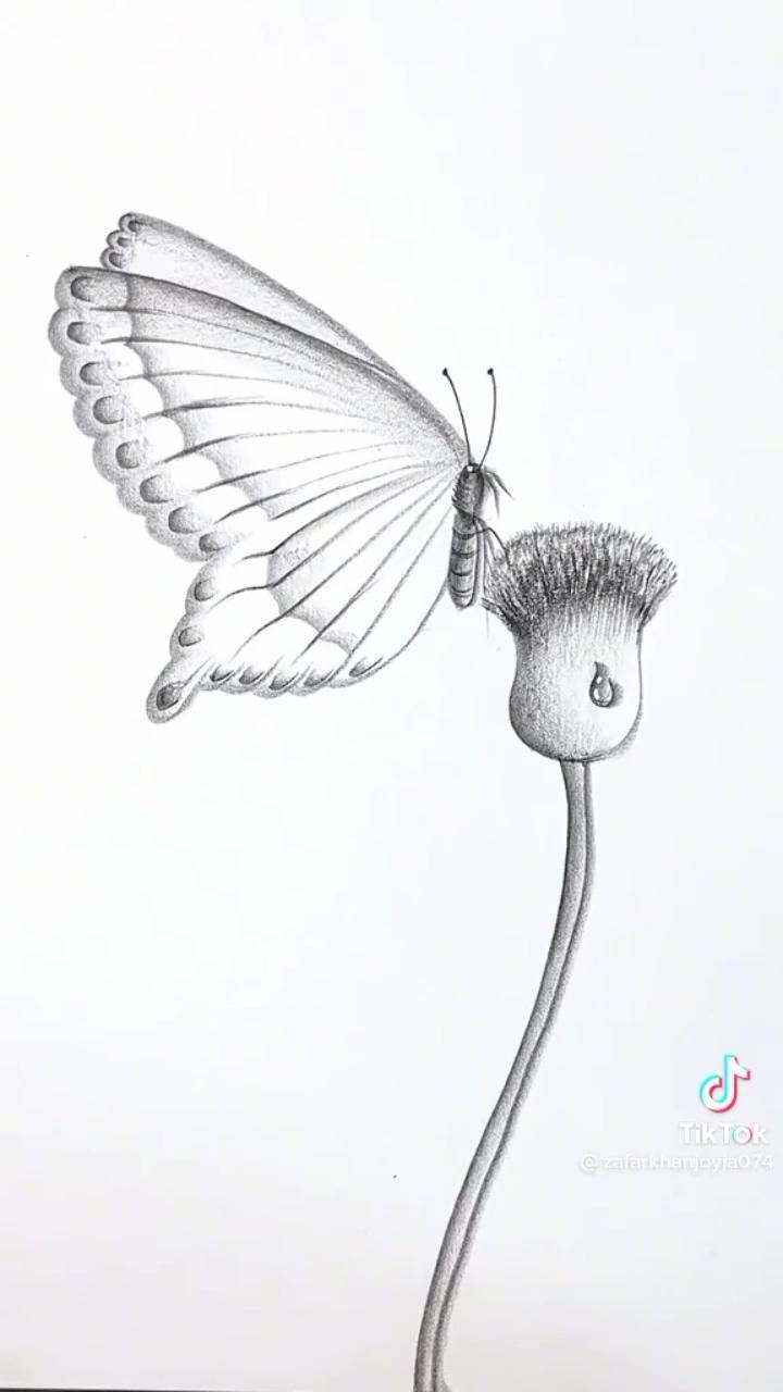 Beautiful butterfly drawing. #butterfly #aesthetic #drawing | this is what i lack in my wardrobe-cycheatpoker. com
