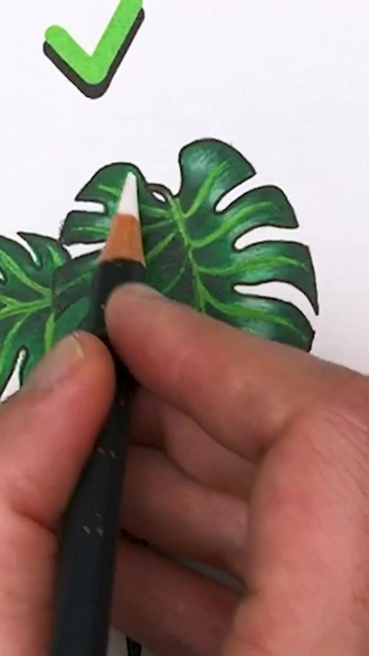 Drawing a monstera plant becomes child's play | painting drawings skills