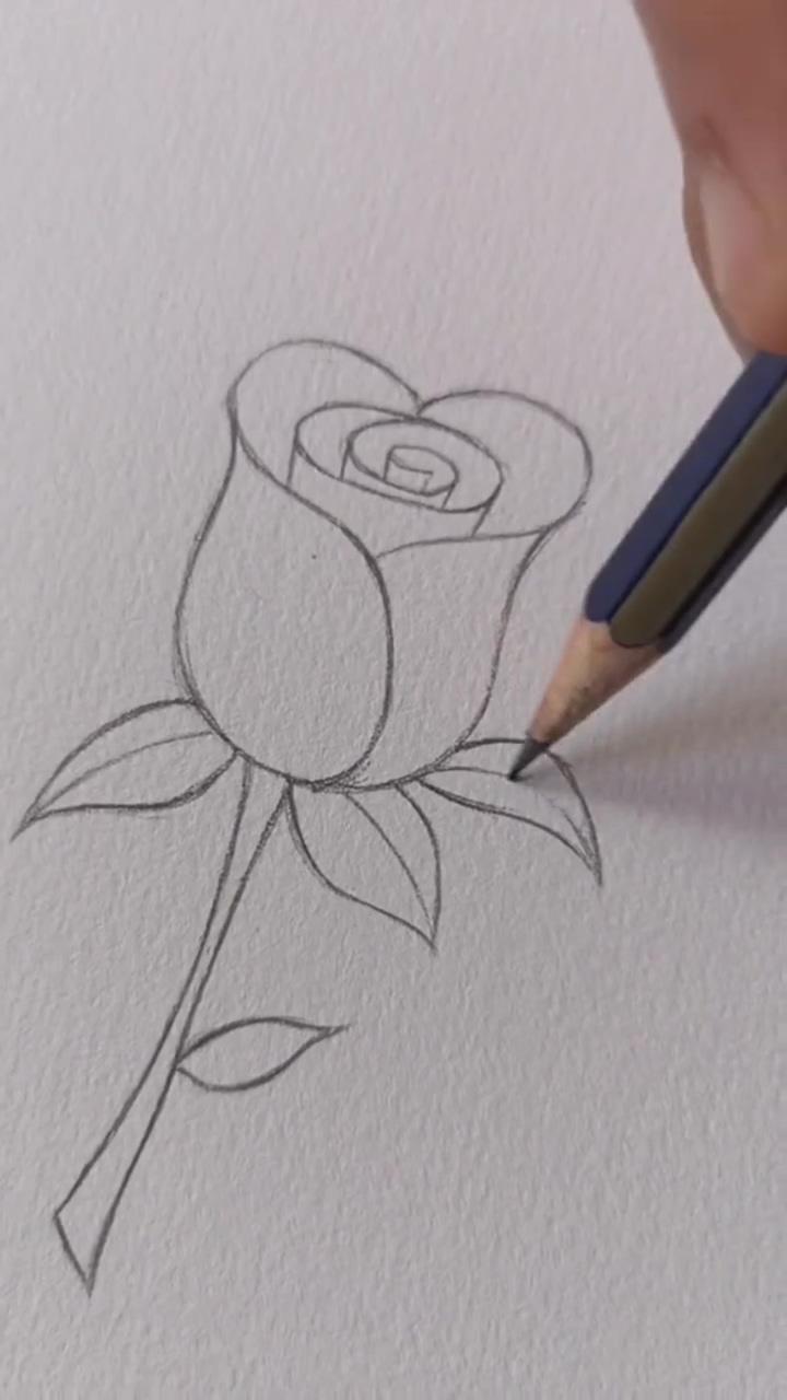 Drawing flower | pencil sketches easy
