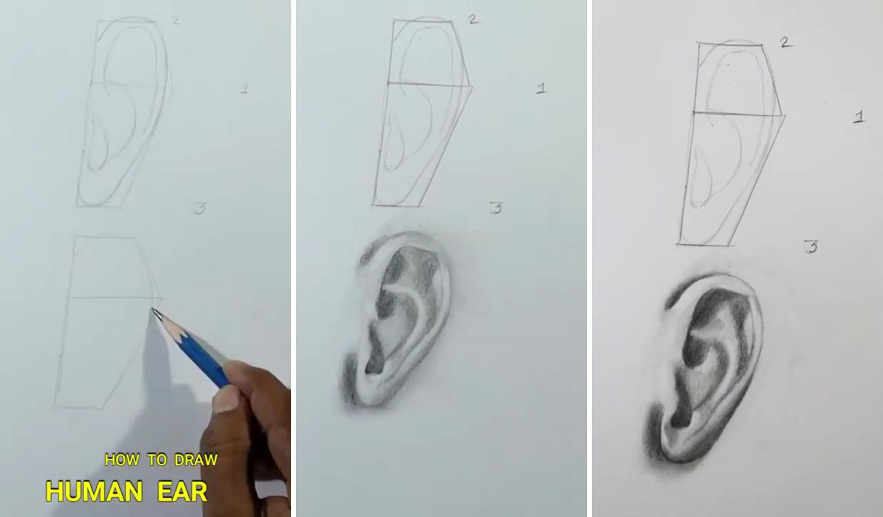 Drawing with pencil: drawing tips with exercises, drawing for beginners, pencil drawing techniques | pencil sketch images