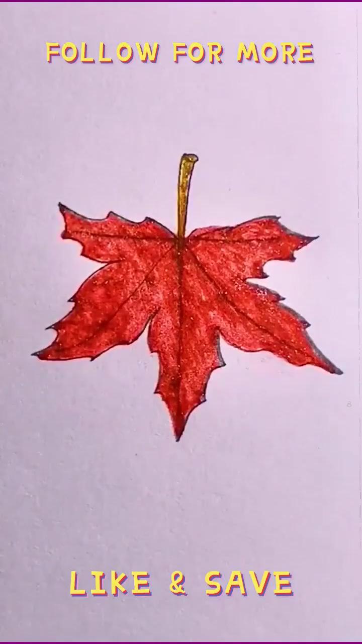 Free pencil drawing class - how to draw a maple leaf; tree sketch