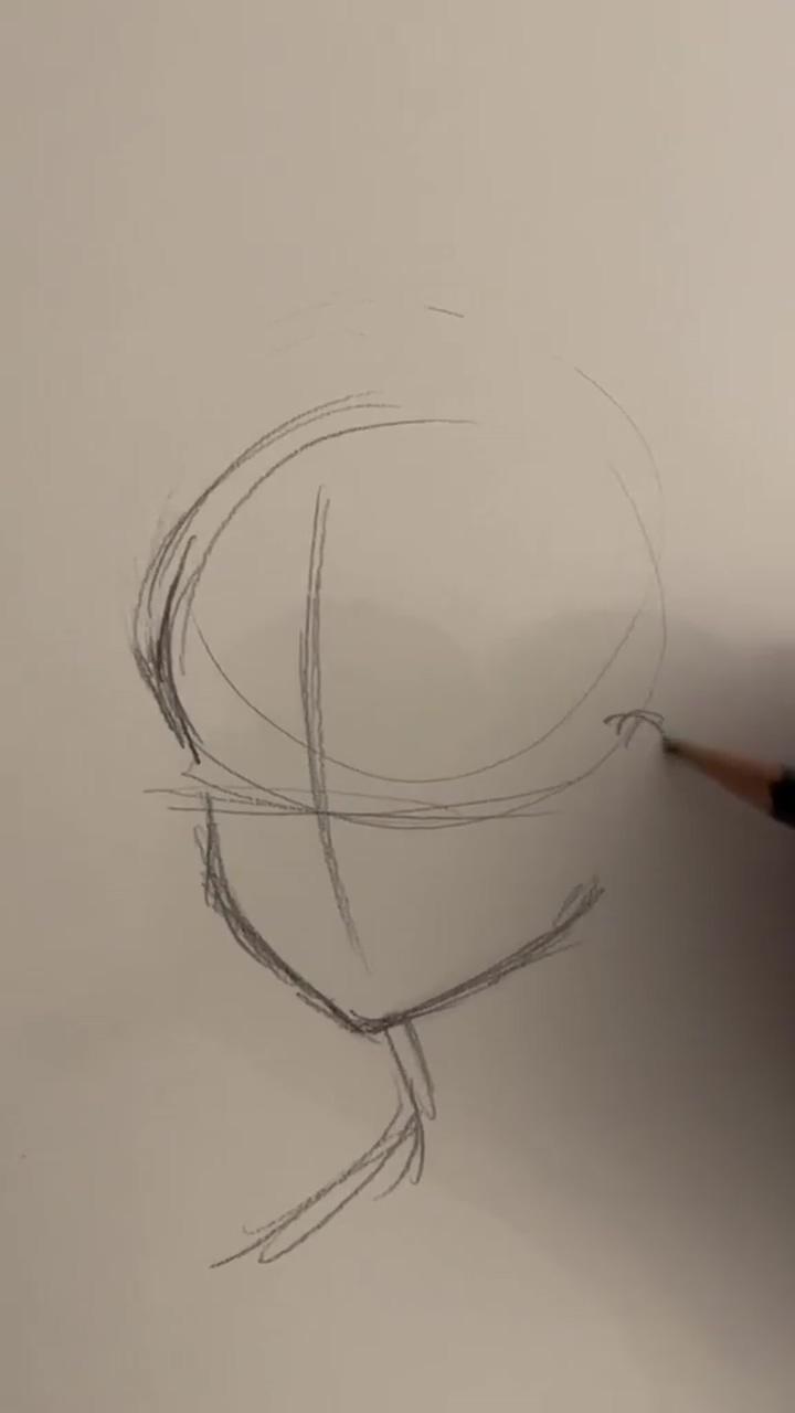 Head tutorial, art tutorial | drawing