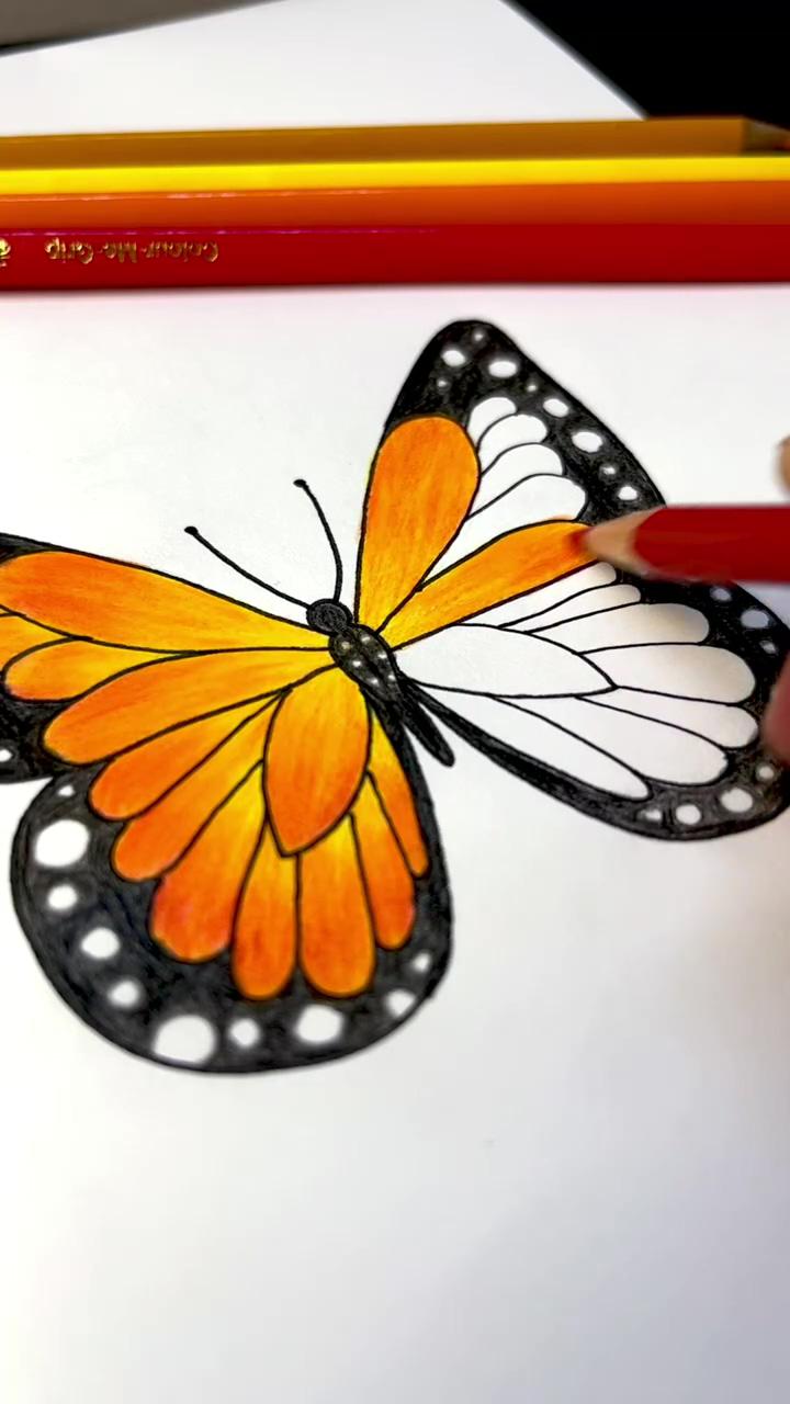 How to colour butterfly | easy rose drawing: step-by-step tutorial for beginners