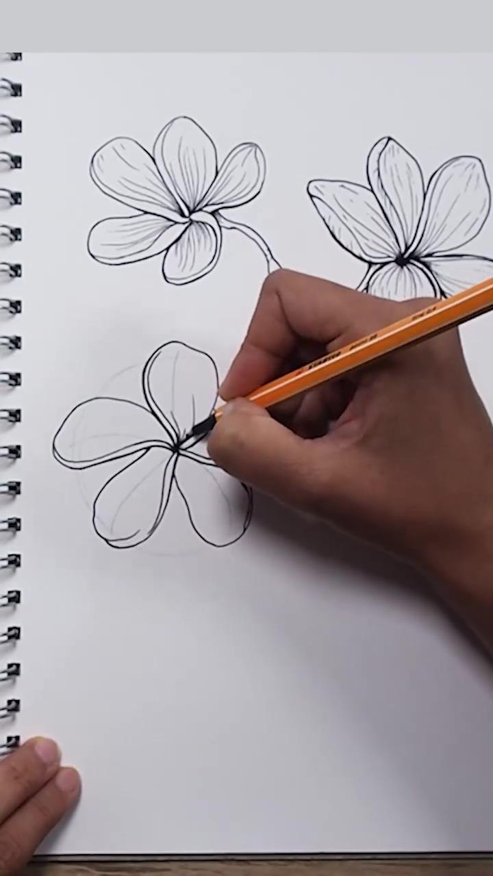 How to draw a frangipani flower | beautiful art