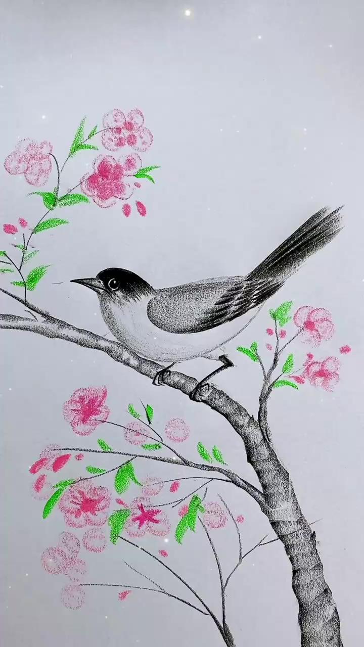 How to draw bird pencil drawing bird drawing charcoal pencil drawing | how to paint a detailed lotus in watercolours