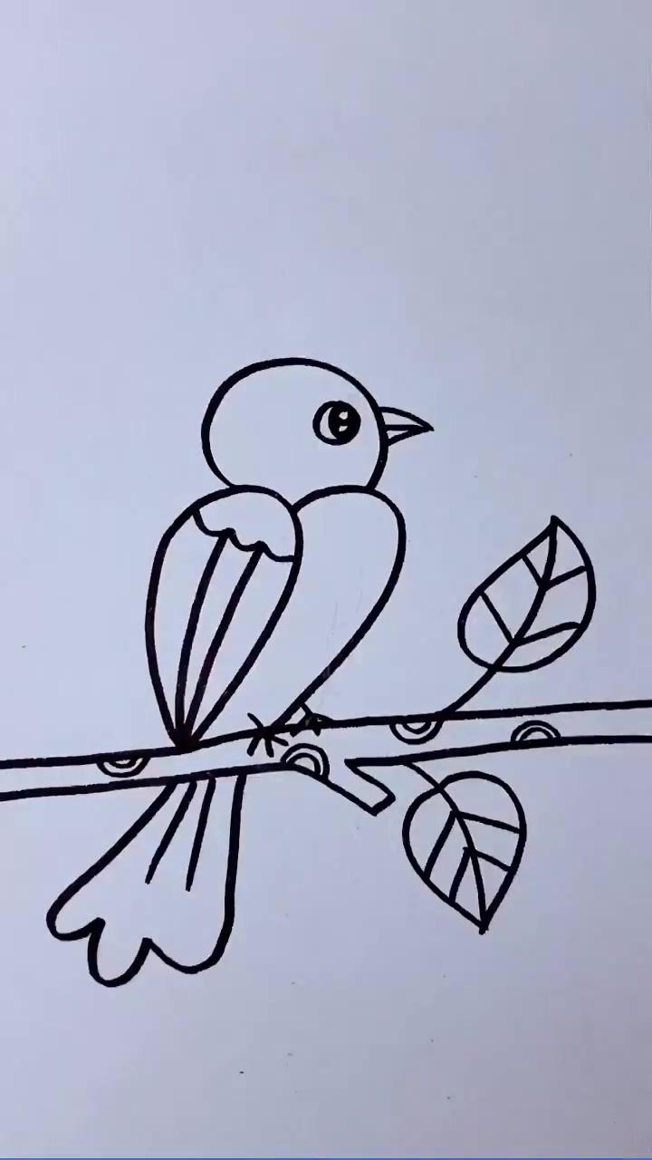 How to draw bird : tips and tutorials | diy and craft