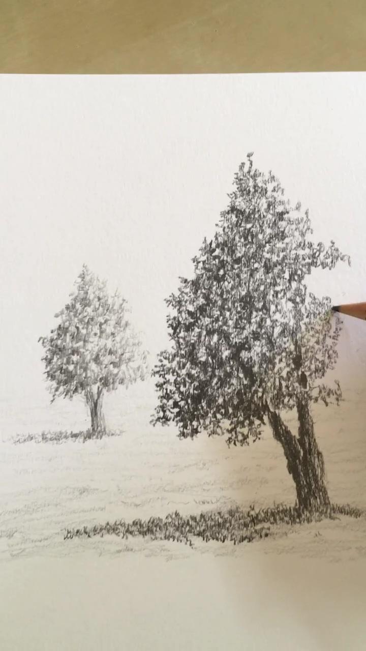 How to draw depth | tree drawings pencil