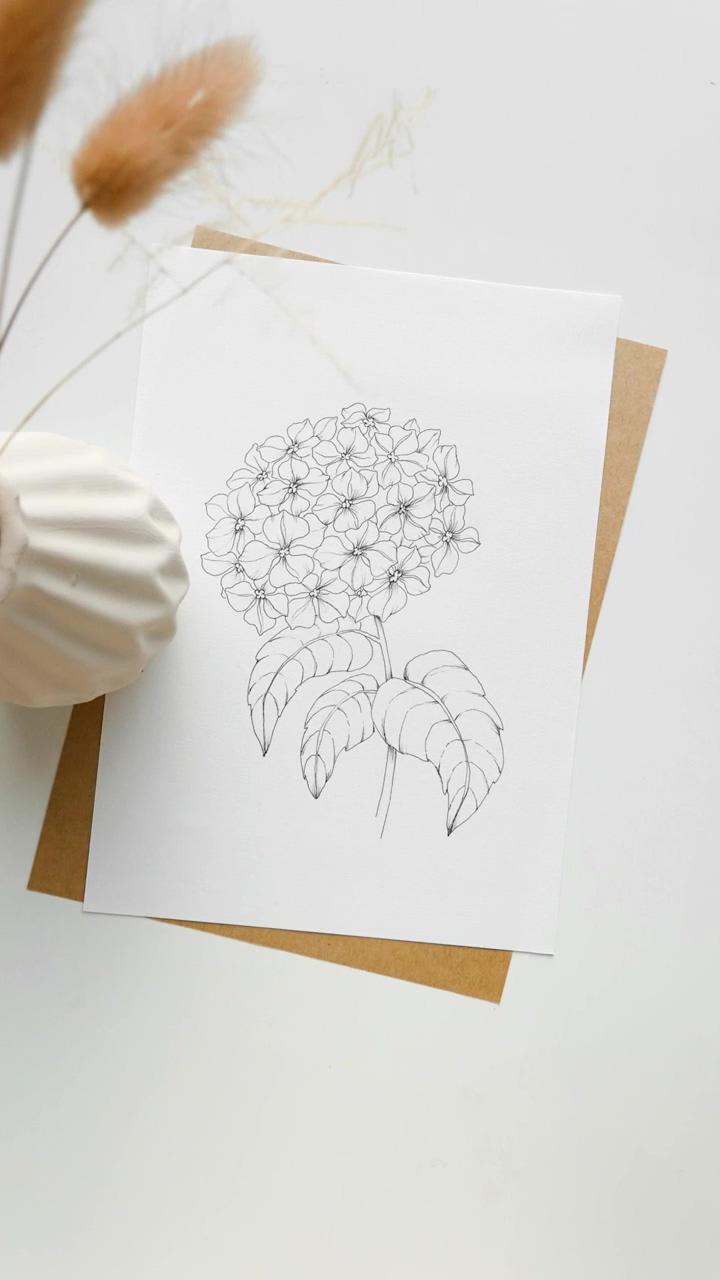How to draw hydrangea flowers tutorial - angele kamp | my favourite leaves to hammer in december