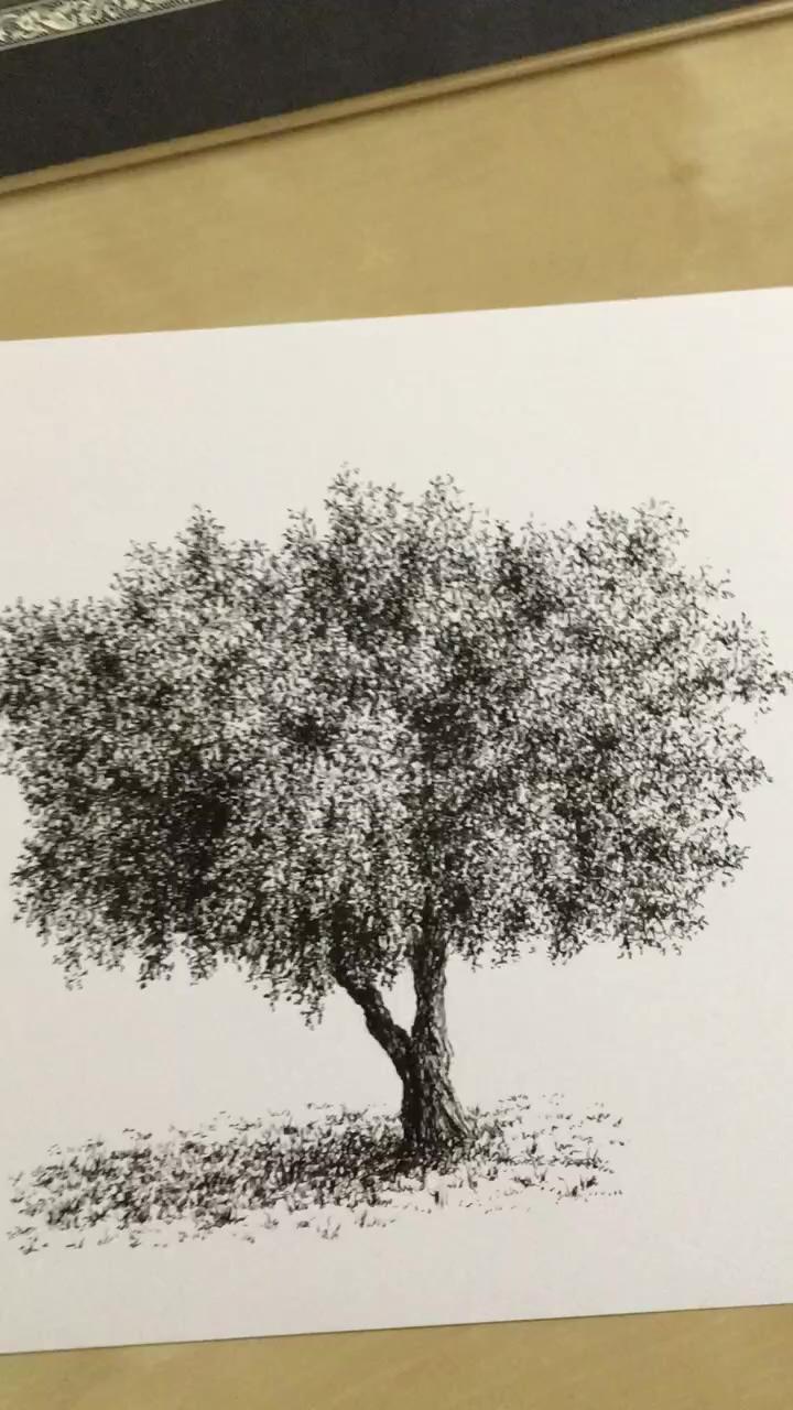 How to draw trees; pen art drawings