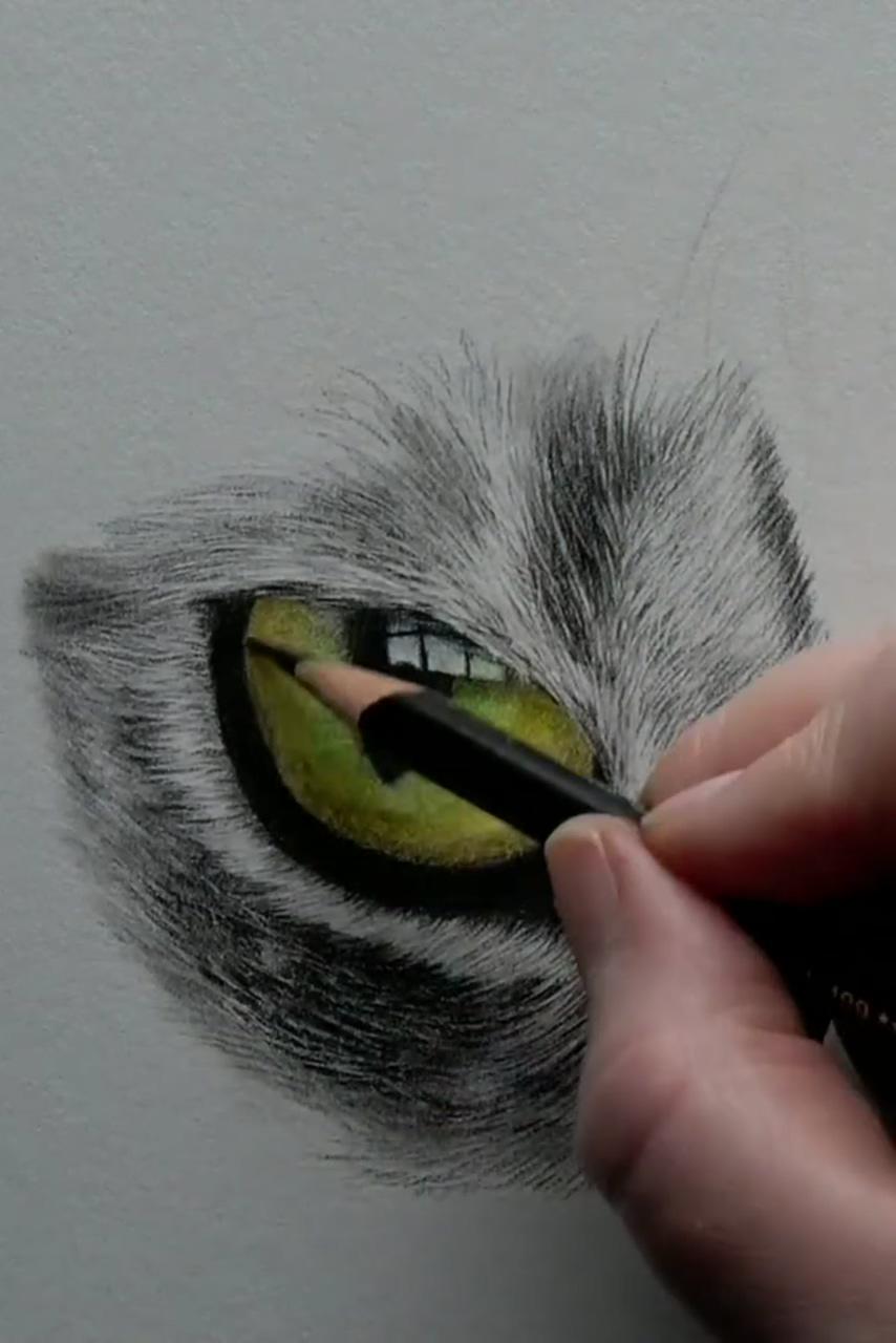 Learn to draw realistic fur and eyes, realtime tutorial | cats art drawing