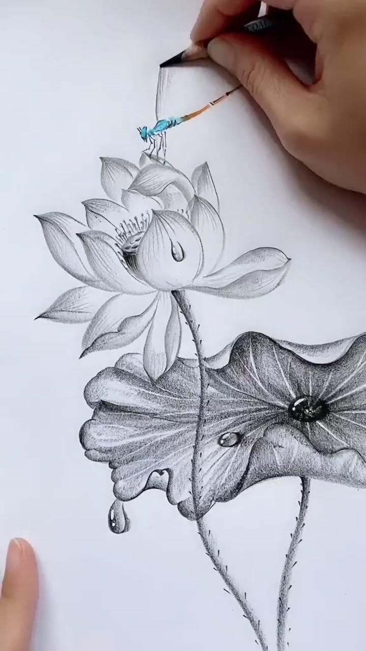 Lotus art | charcoal pen painting