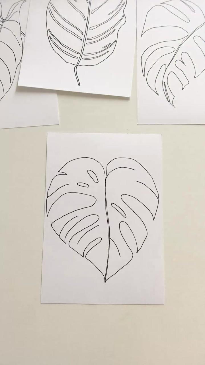 Monstera leaf drawing | poppy drawing art class