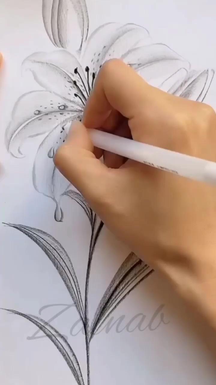 Rose drawing. rose drawing inspirations. rose drawing ideas | realistic flower drawing