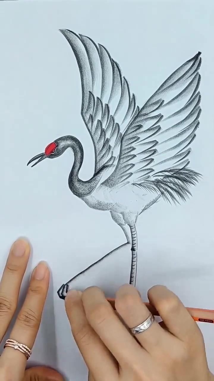 Simple drawing of cranes and cranes with fish reaching their mouths | 3d drawing tutorial - easy art drawing idea