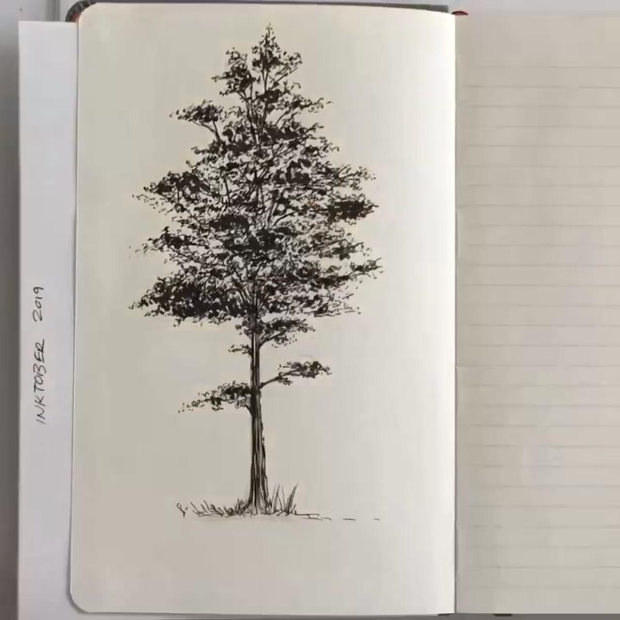 Tree drawing in pen by shannon perrie perriewinkles | tree drawings pencil