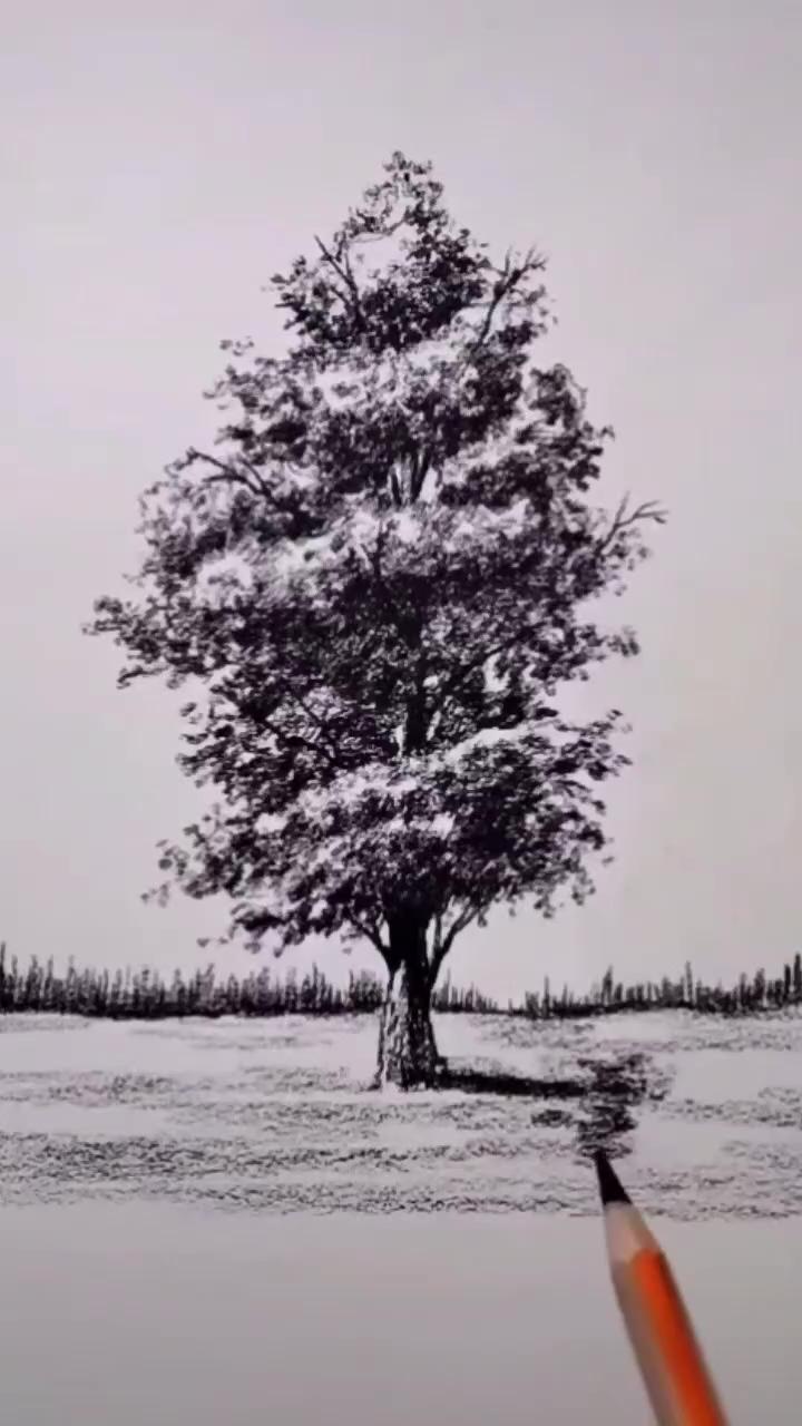 Tree drawing tutorial. random drawing ideas | amazing pencil