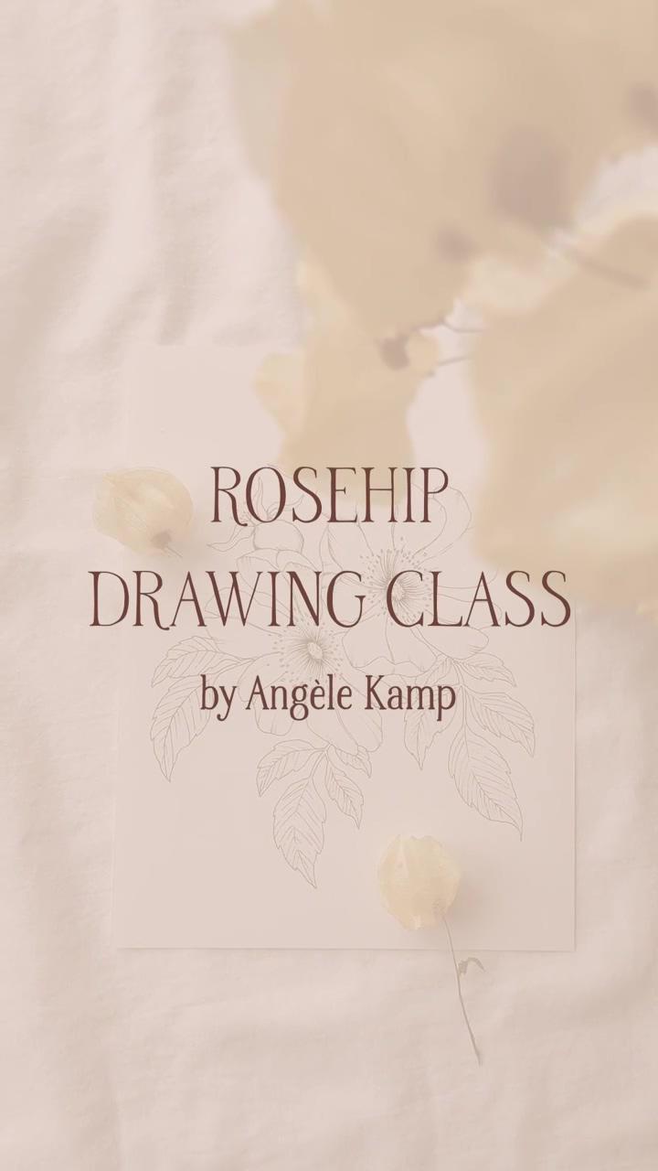Wild rosehip drawing tutorial by angele kamp | flower doodles