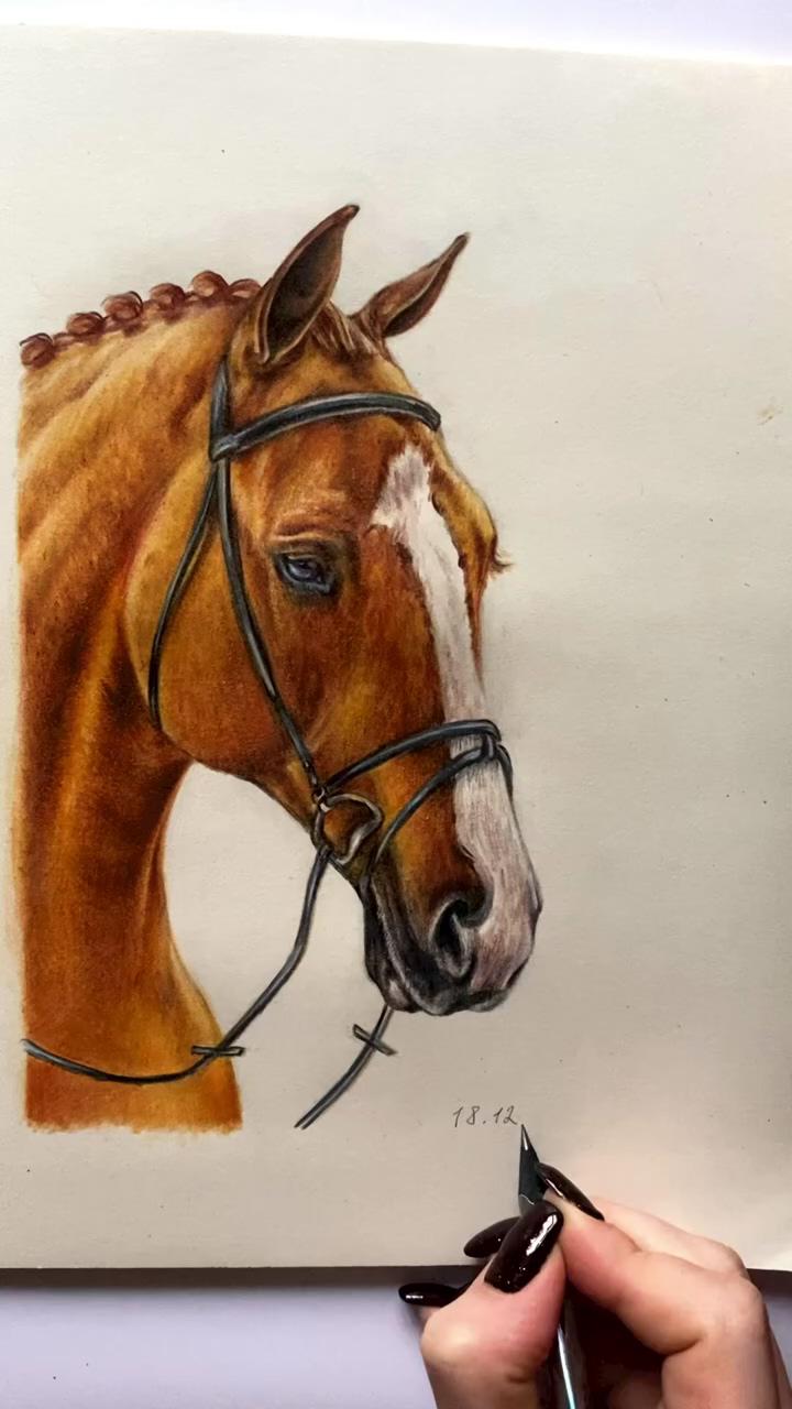 A horse | chestnut warmblood watercolor portrait time lapse