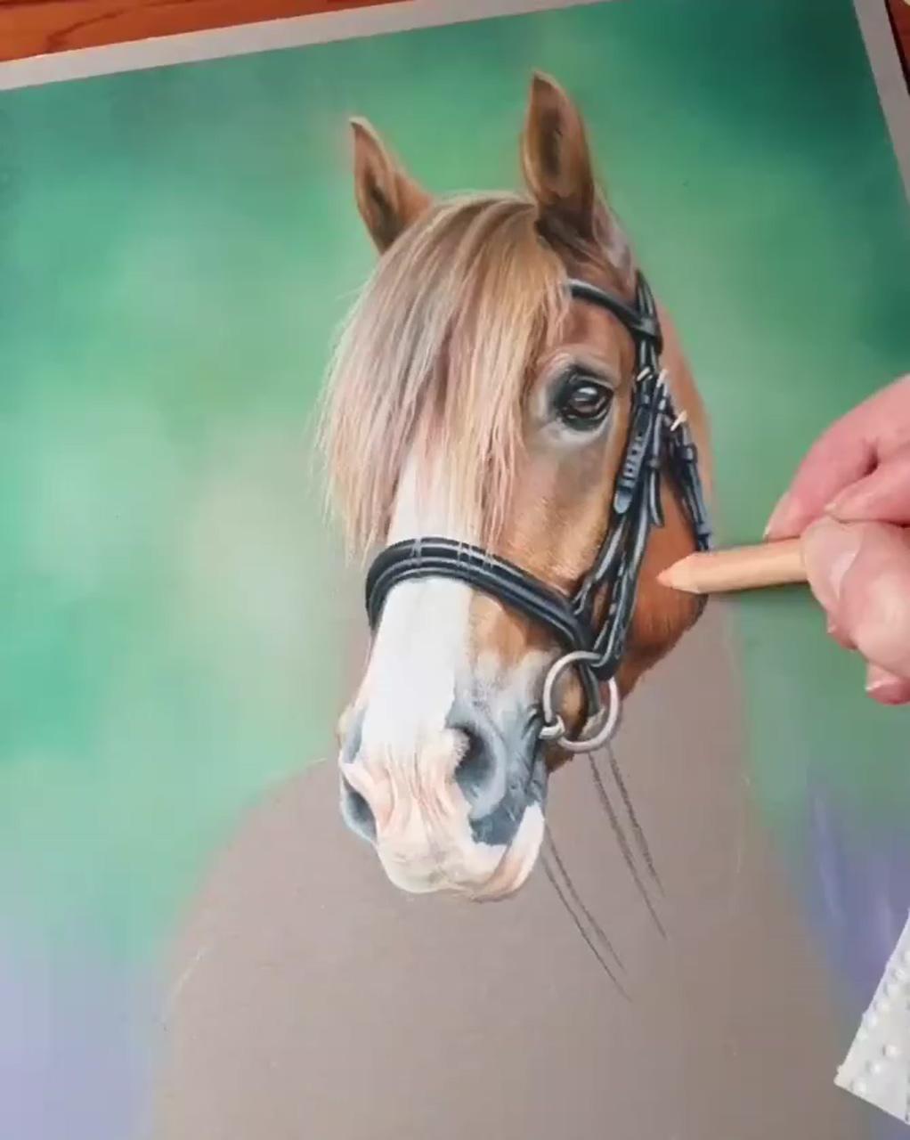 Animal realistic colored pencil painting tutorial - how to paint by satuma_art; horse drawing tutorial