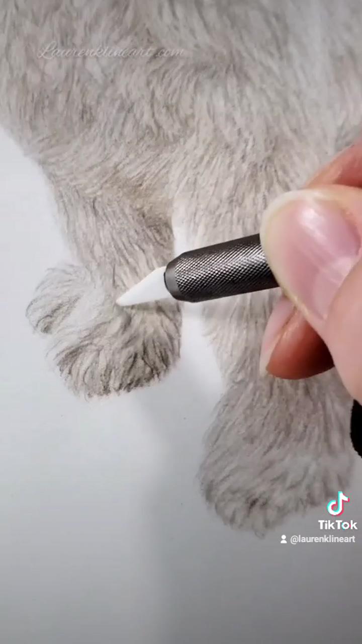 Asmr drawing of poodle | colored pencil drawing tutorial