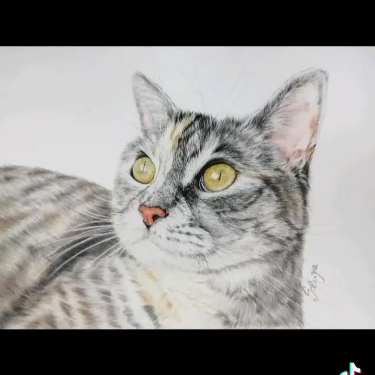 Colored pencils cat portrait | dogue de bordeaux portrait in progress