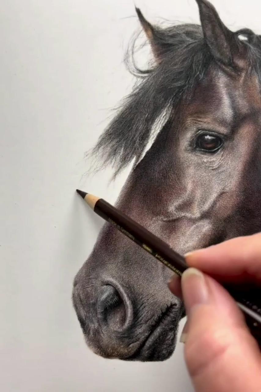 Dark horse, artwork in progress | equine art pencil drawings