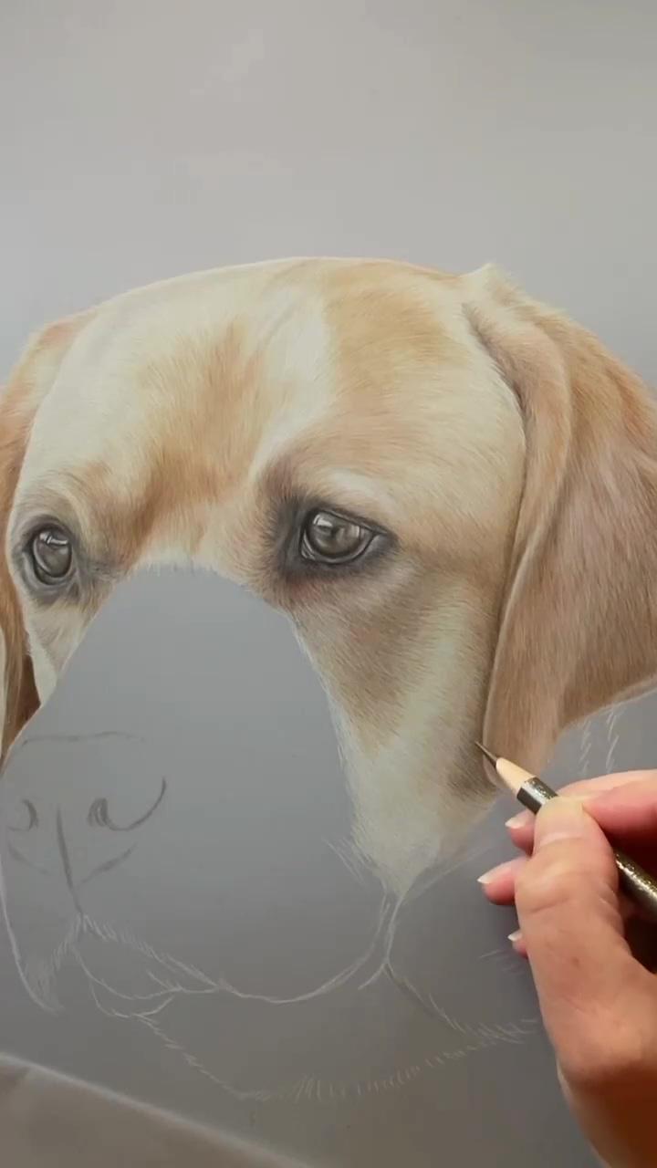 Dog painting | cat painting