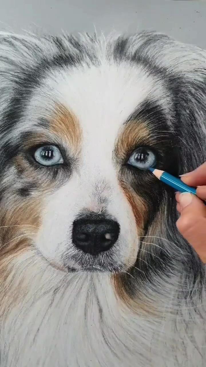 Dog painting | hyper realistic dog painting