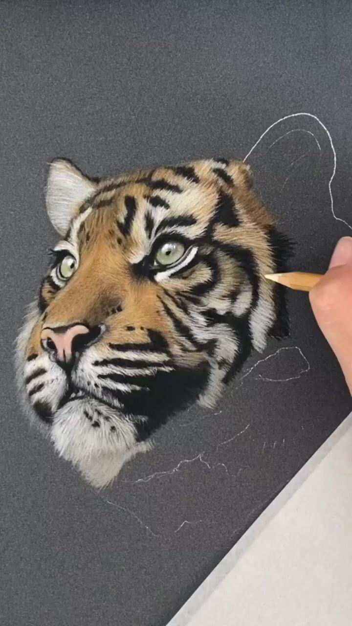 Drawing a realistic tiger and pls suscribe to my channel | tiger art drawing