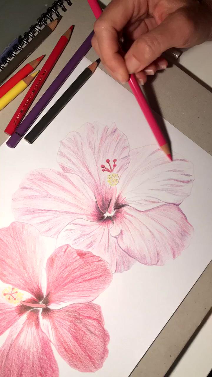 Flower illustration time lapse by girl and the deep blue sea | watercolor peachy pink tulip painting tutorial click here