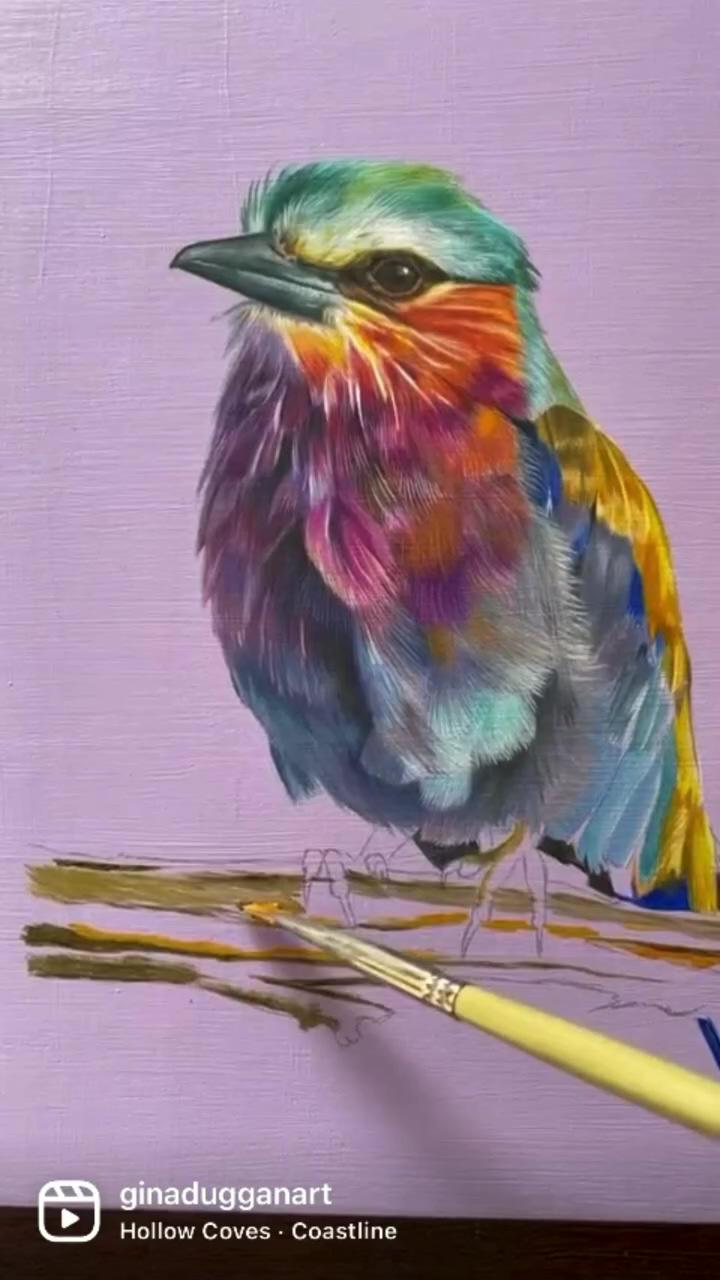 Fresh off the easel, this beautiful lilac breasted roller 20cm x 20cm, oil on panel, 2022 | libby bell art - original watercolour painting - eleus orange forester butterfly