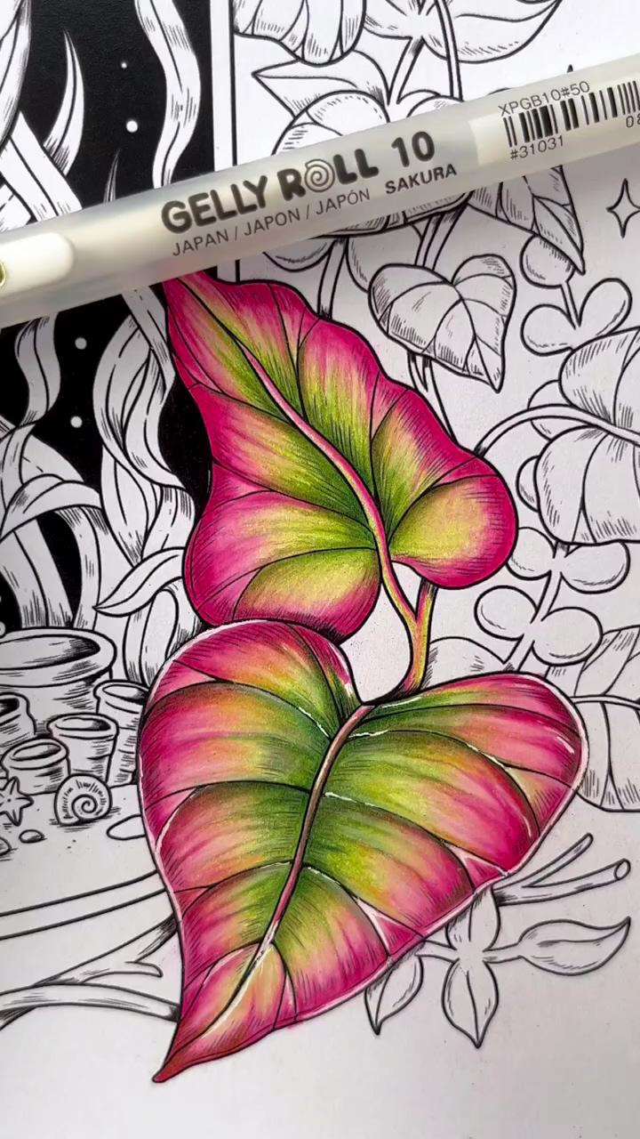 How i color caladium leaves | artwork