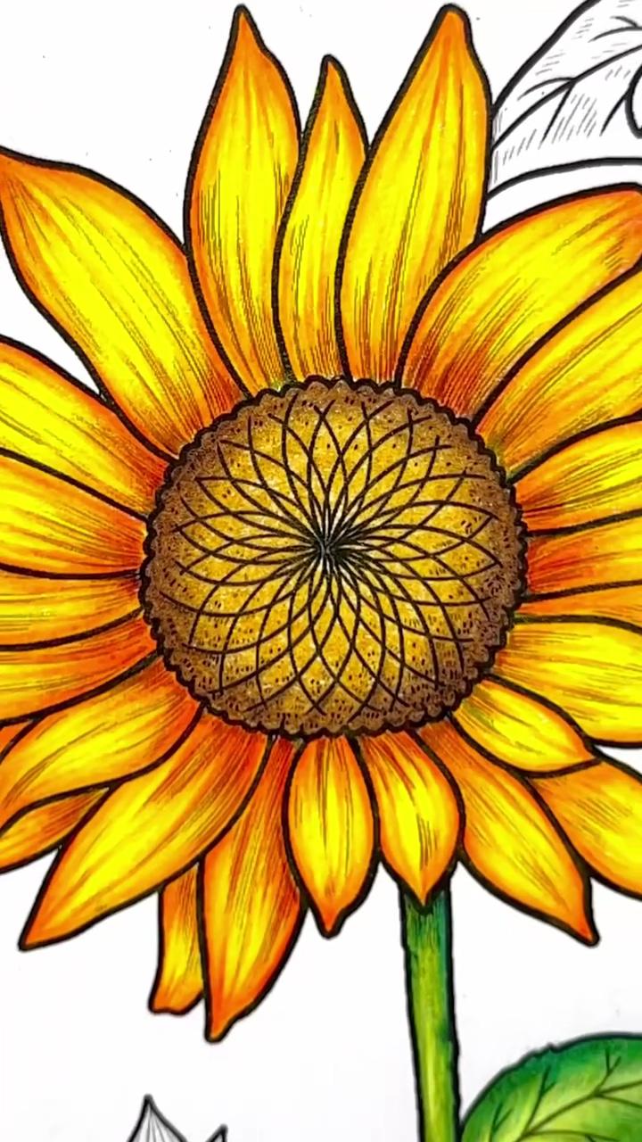 How i color sunflower, coco wyo | gold leafing