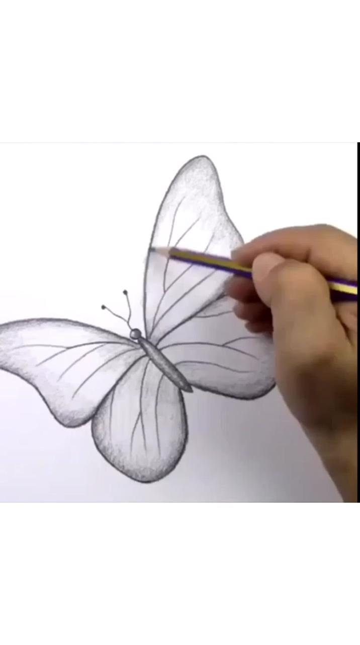 How to draw a beautiful butterfly - easy drawing tutorial; pencil sketches easy