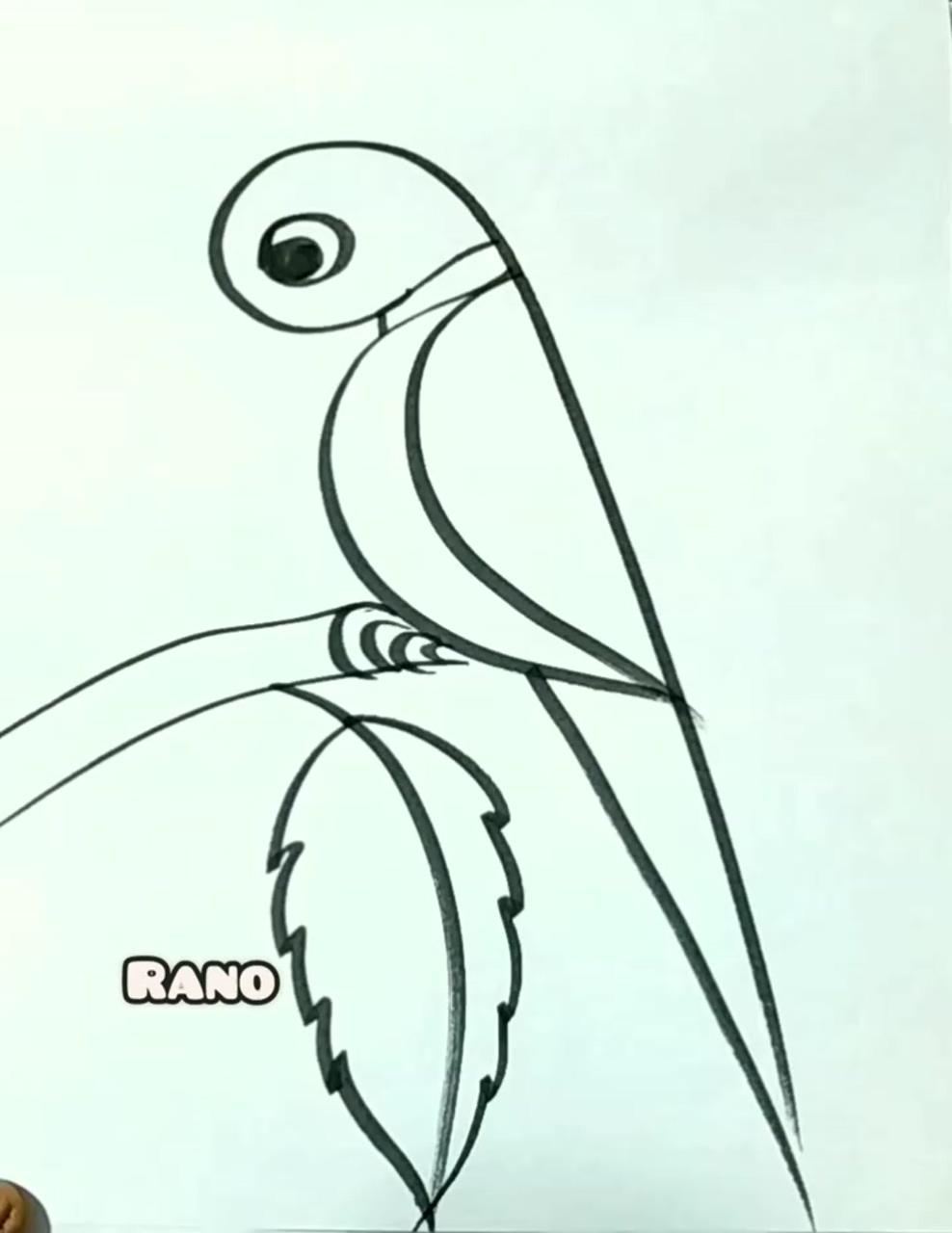 How to draw a parrot; art drawings sketches creative