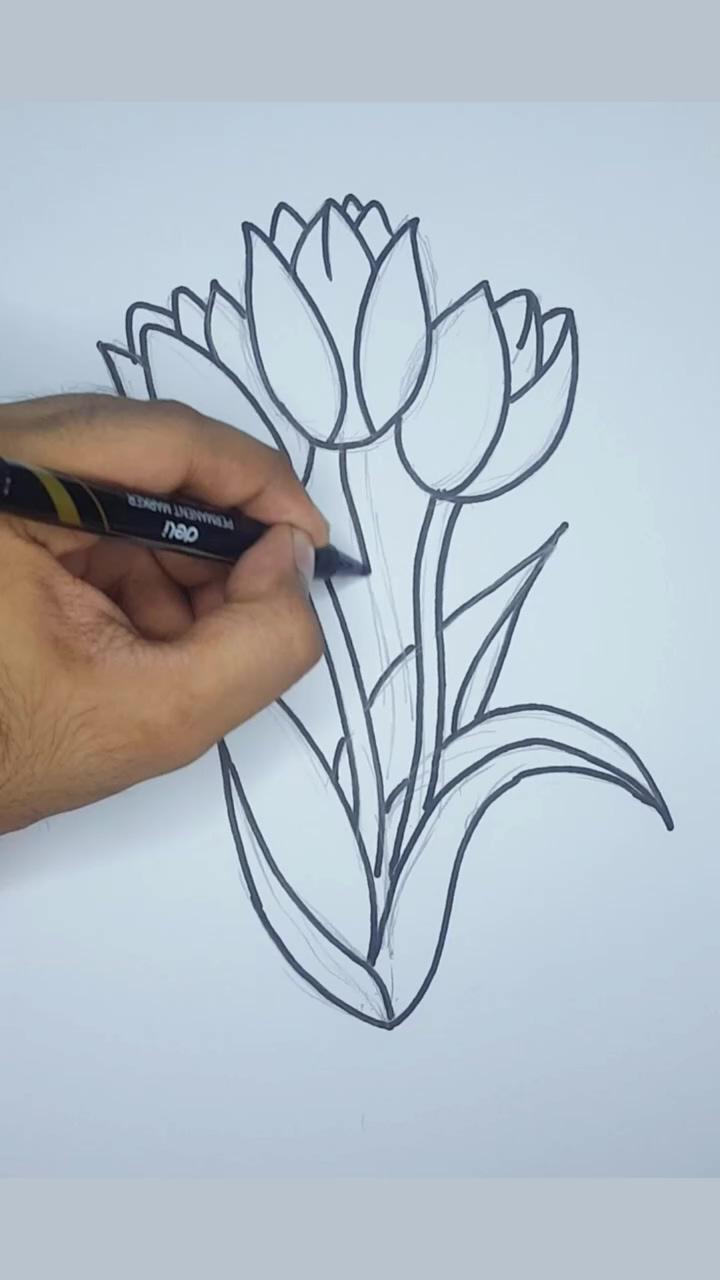 How to draw a tulip flower for beginners, flower drawing | cool pencil drawings