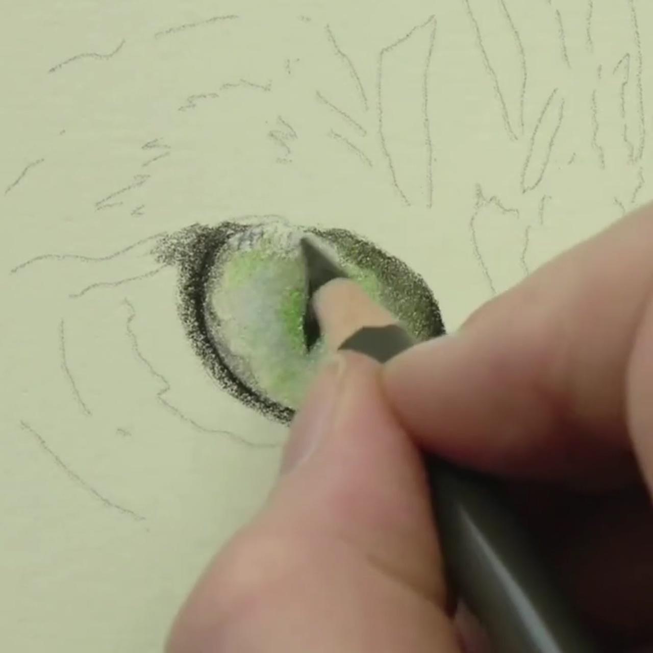 How to draw realistic eyes in coloured pencil, animal art | how to layer colour to create realism, coloured pencil tips
