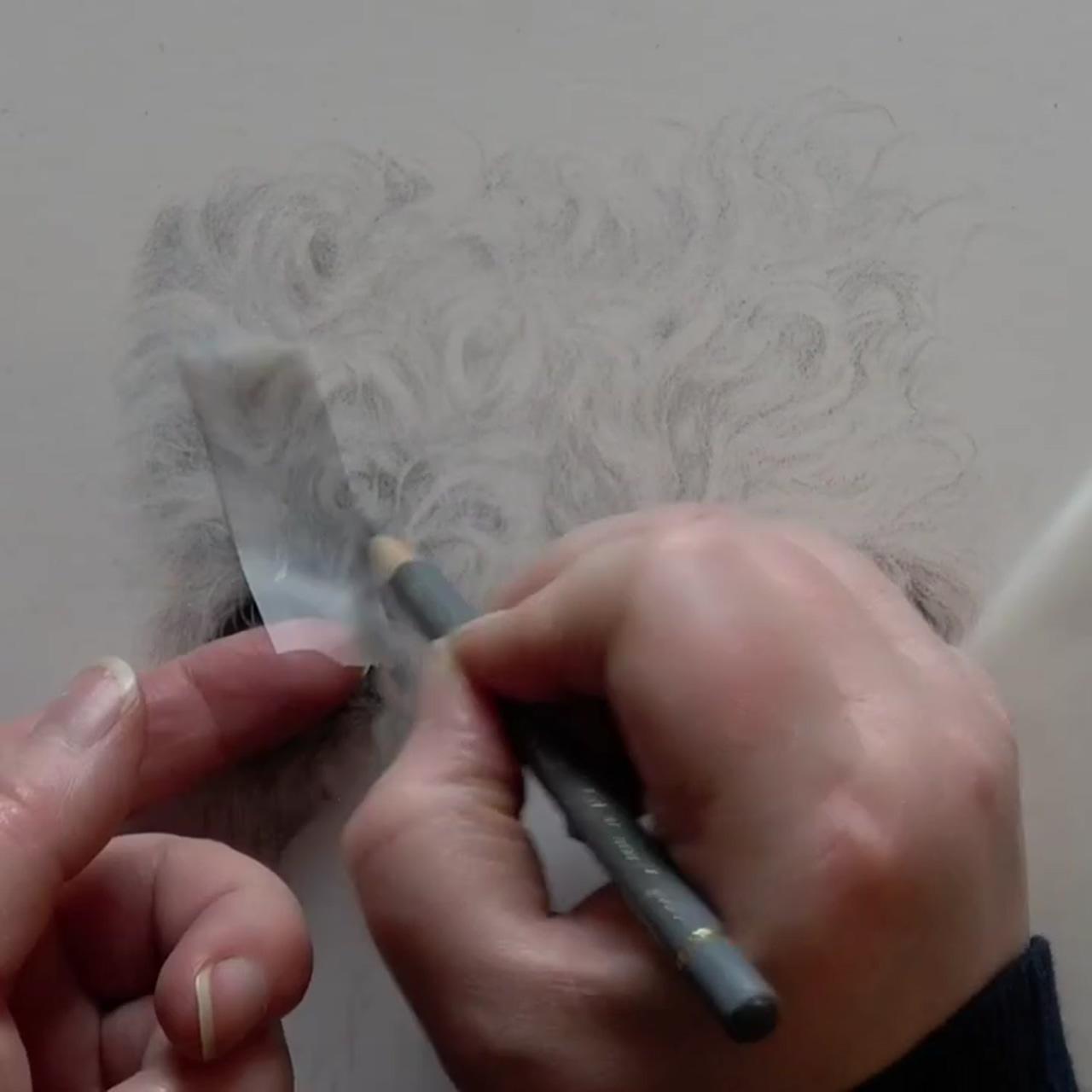 How to draw white curly fur | mjs online art lessons