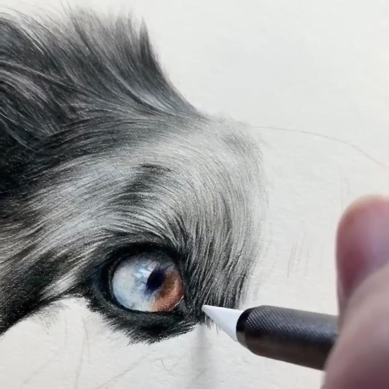 How to use a slice tool to create realism, art tips | how to draw realistic animals in coloured pencil, bonny snowdon academy