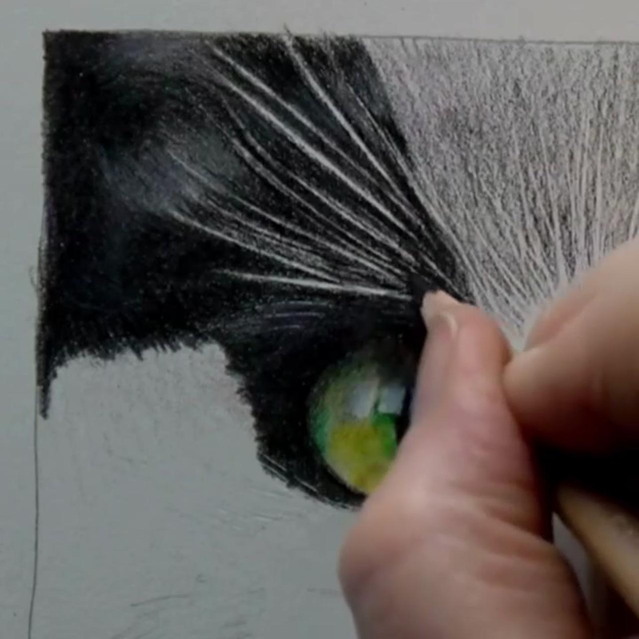 How to use the indenting technique, realistic drawing tips; 5 tipsandtricks for painting realistic animal eyes in watercolor