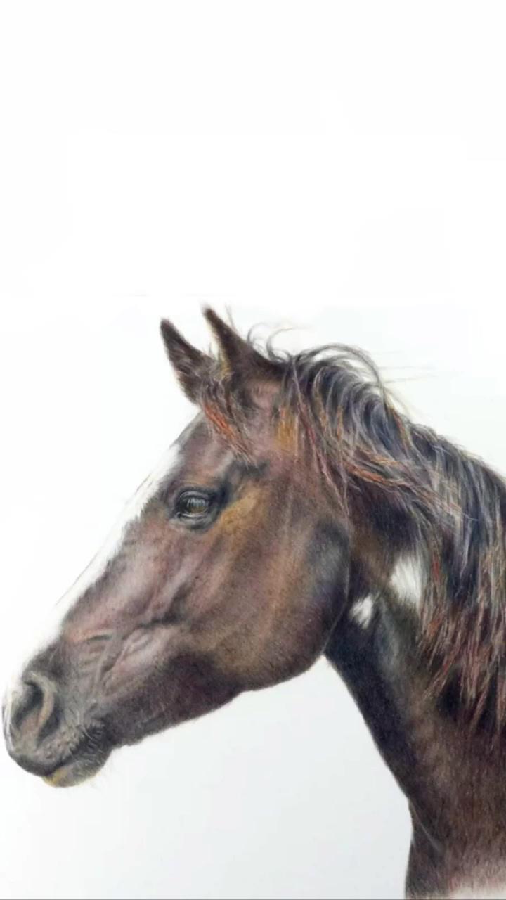 I love this tool for adding stray hairs in coloured pencil art work; sketchbook. horses sketches. equestrian drawings