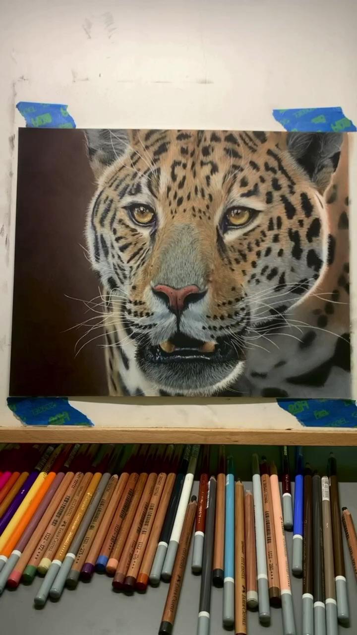 Jaguar in pastel | learn to draw realistic animals, tutorials, live sessionsandmore