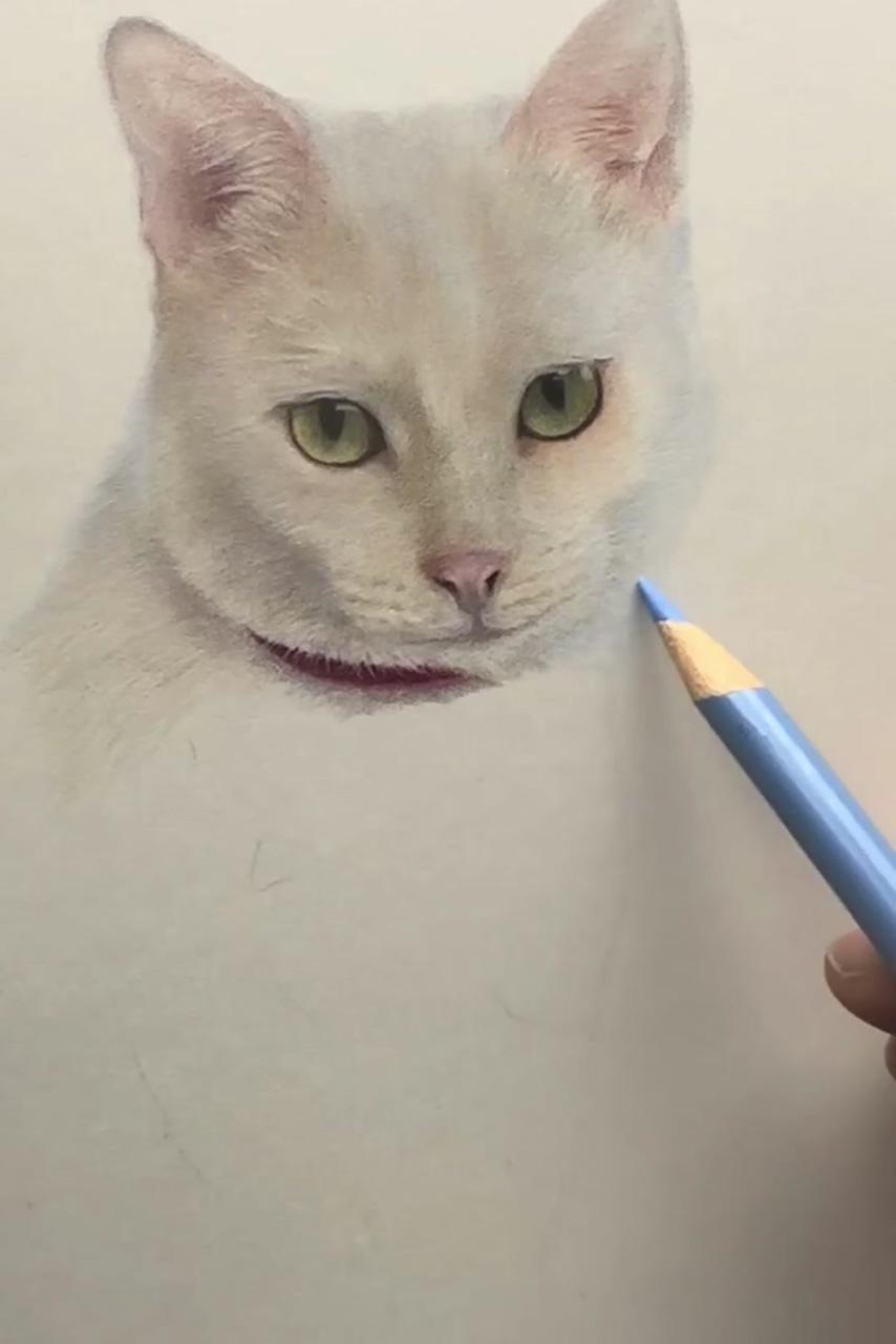 Learn to draw cats in coloured pencil | how to use the indenting technique, coloured pencil tips