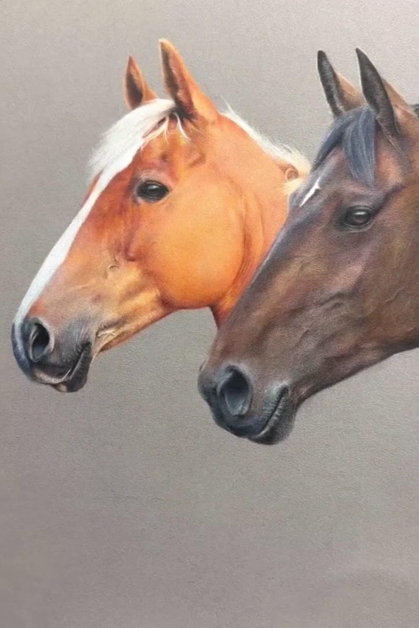 Learn to draw realistic animals in coloured pencil | colored pencil artwork ideas