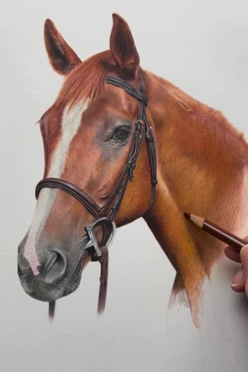 Learn to draw realistic horses in coloured pencil | how to layer coloured pencils to create realism, art workshop