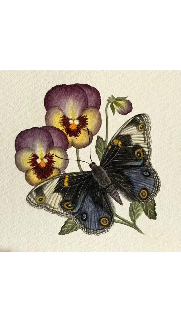 Libby bell art - original watercolour painting: blue pansy butterfly with purple pansies | littleheartcreates