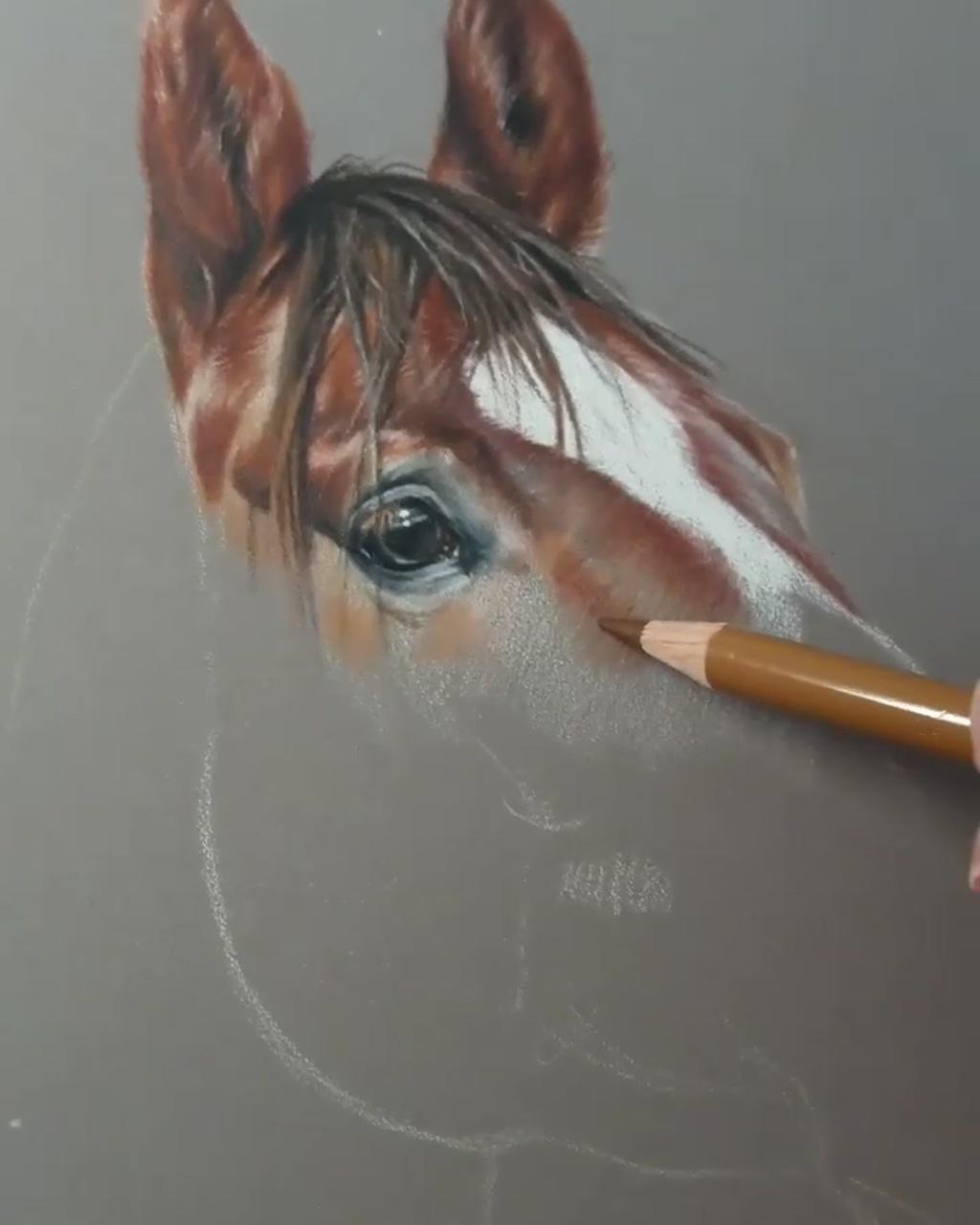 Painting drawing realistic animal colored art by satuma_art; painting drawing realistic animal colored art by satuma_art